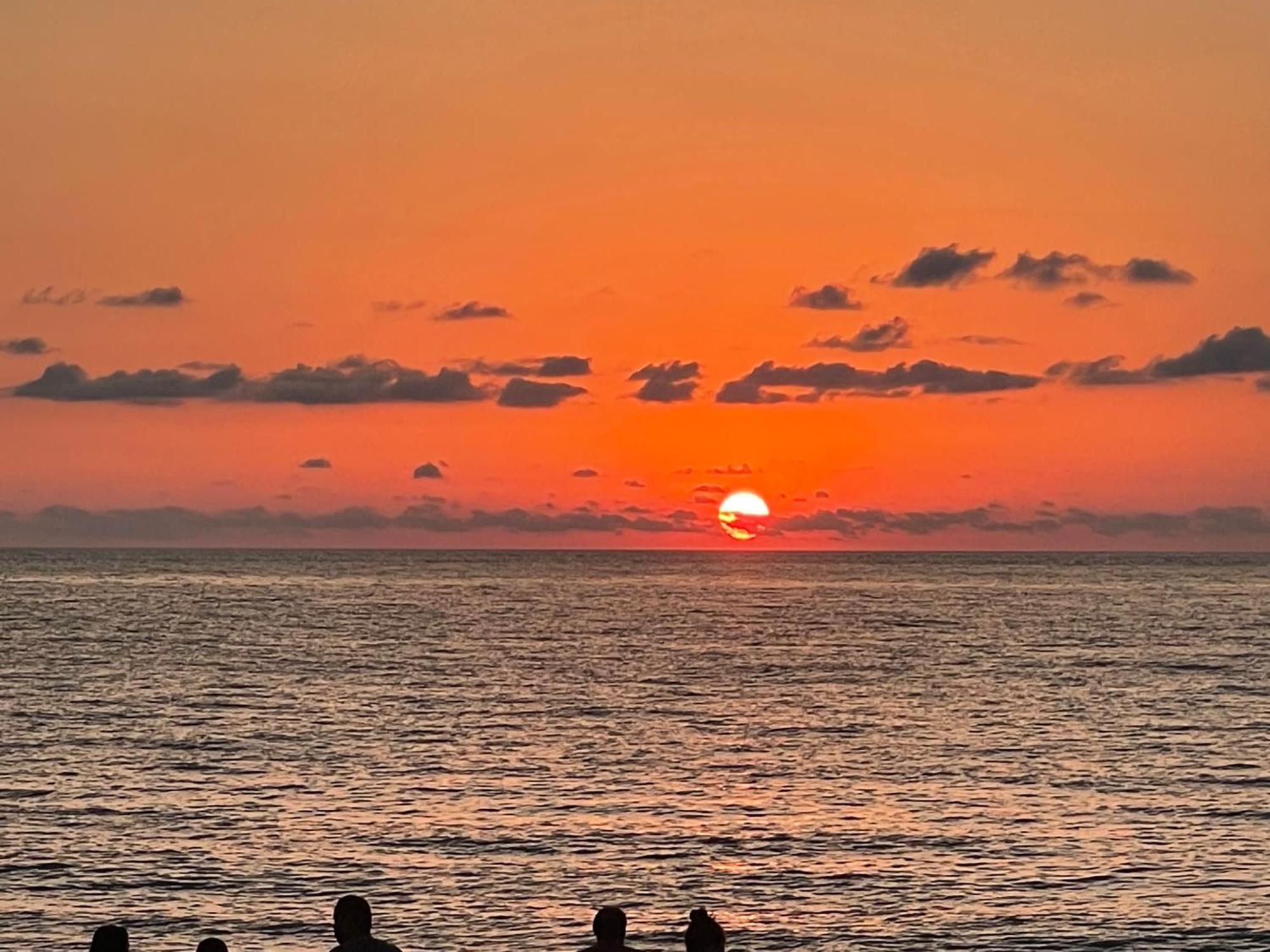Batumi Seaside Magnoliaアパートメント エクステリア 写真